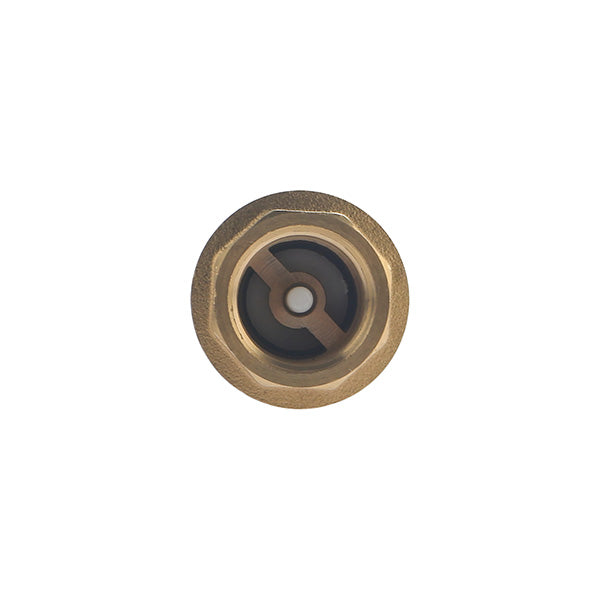 Clapet Anti-Retour Femelle 1/2 (15x21)