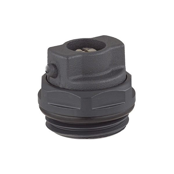 Bouchon Purgeur d'Air Anthracite pour Radiateur