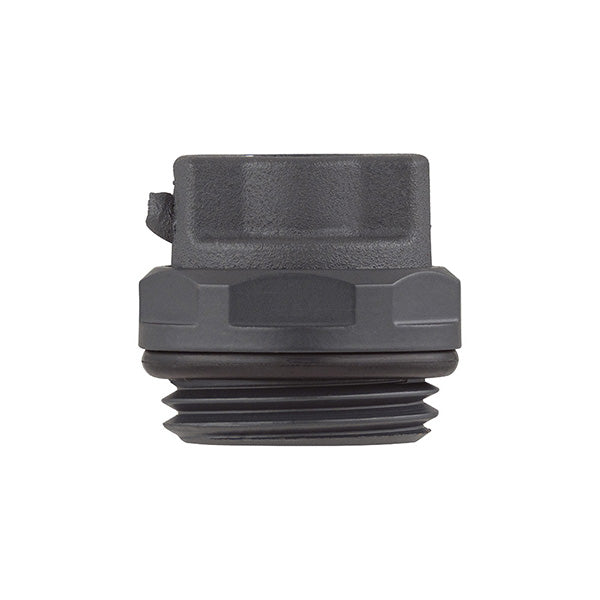 Bouchon Purgeur d'Air Anthracite pour Radiateur