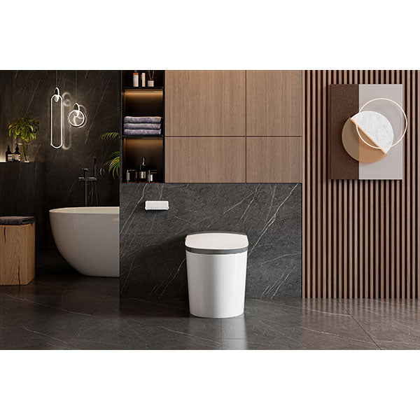 WC japonais intelligent