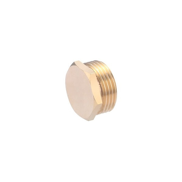 Bouchon à Visser Mâle 292 Mâle 3/4 (20x27) x5 bouchons