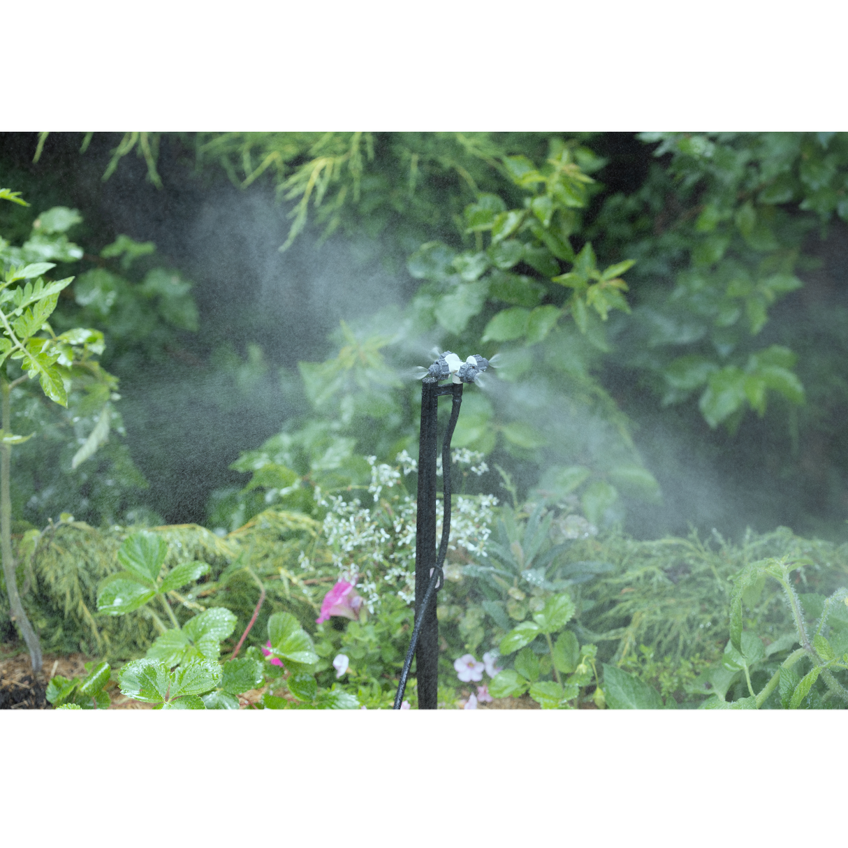 brumisateur goutte a goutte sur pic