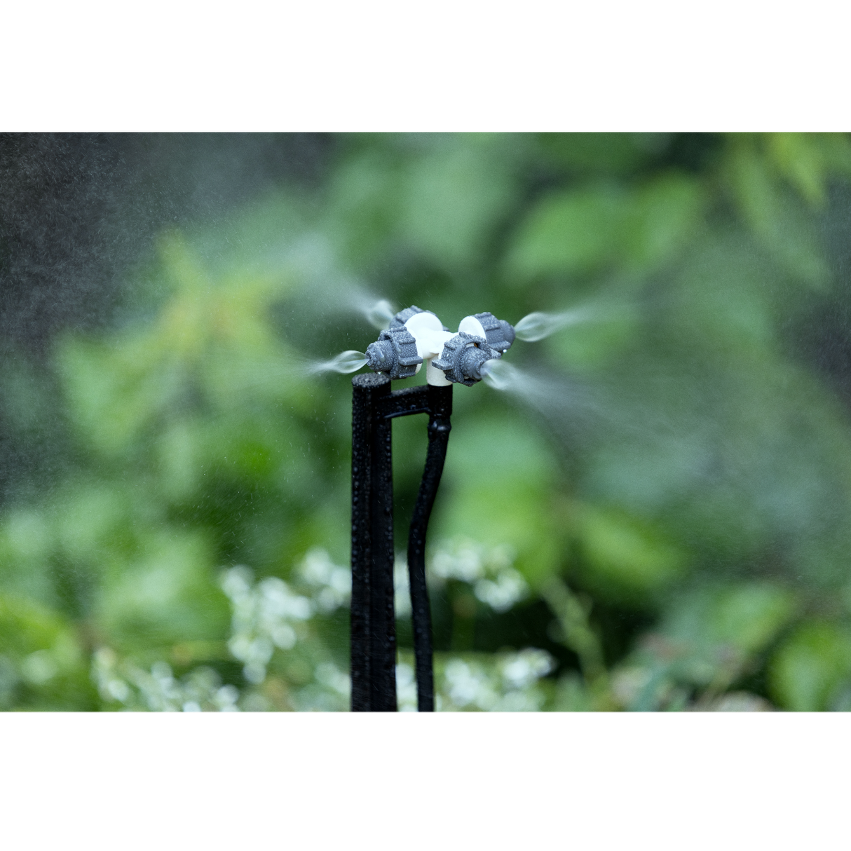 brumisation micro irrigation