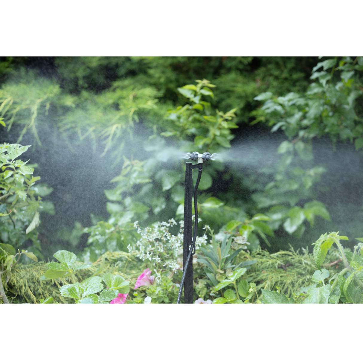 micro irrigation goutte à goutte