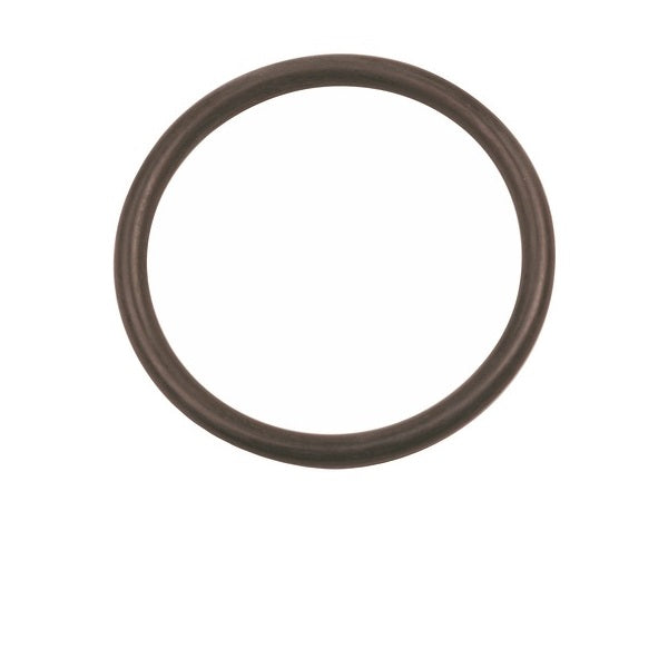 Joint de Clapet de Vidage