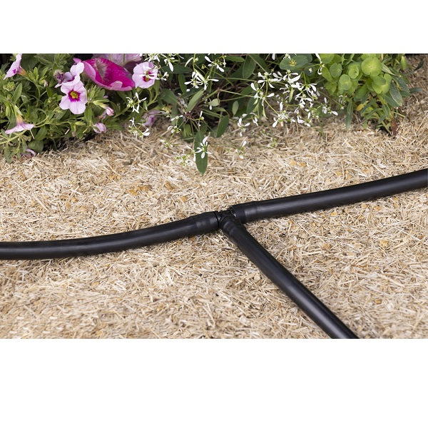 10 tés cannelés goutte à goutte installation