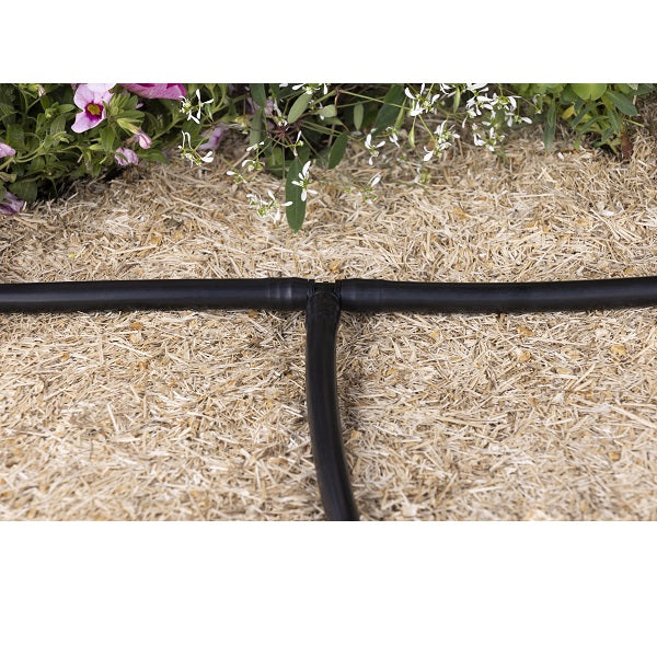 10 tés cannelés goutte à goutte installation