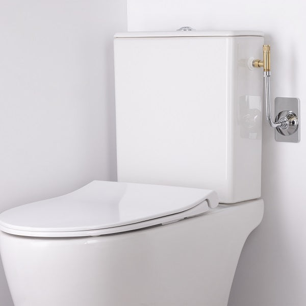 Robinet de WC Déco Laiton Brut