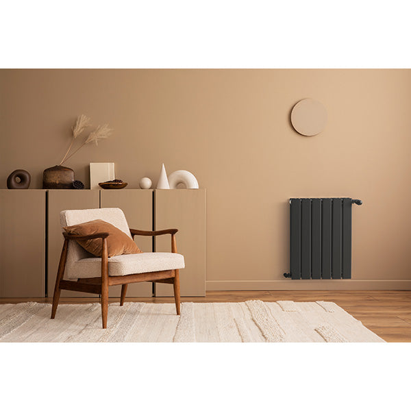 Radiateur horizontal double anthracite NYTIA