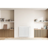 Radiateur horizontal double blanc NYTIA