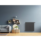 Radiateur horizontal double anthracite NYTIA