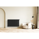 Radiateur horizontal double noir NYTIA