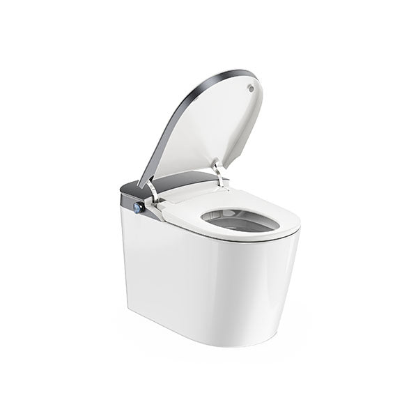 WC japonais intelligent