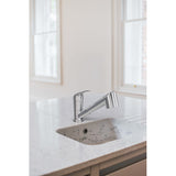 Mitigeur cuisine avec douchette extractible