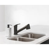Mitigeur cuisine avec douchette extractible noir